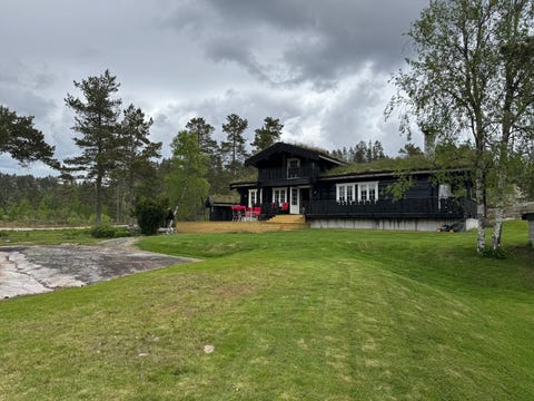 Bilde 1 av annonsen