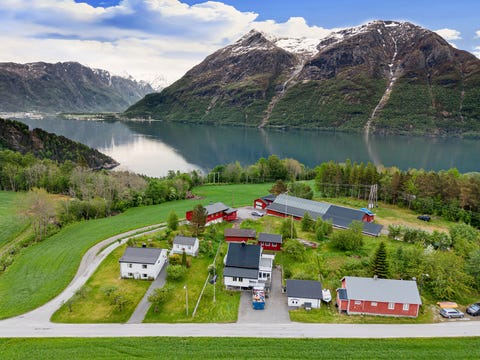 Bilde 1 av annonsen