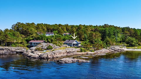 Bilde 1 av annonsen