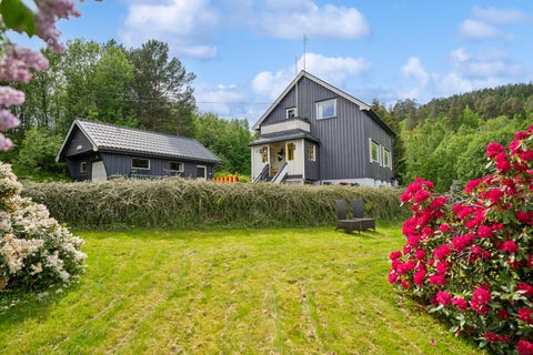 Bilde 1 av annonsen