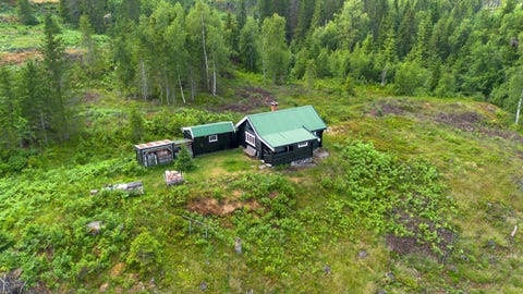 Bilde 1 av annonsen