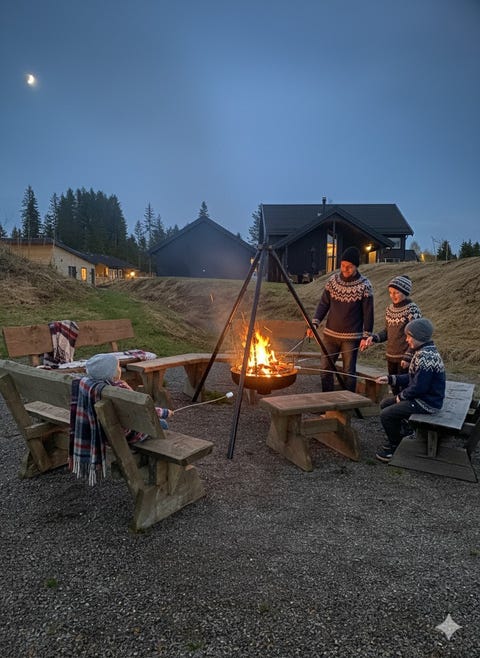 Bilde 2 av annonsen
