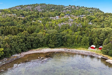 Bilde 1 av annonsen