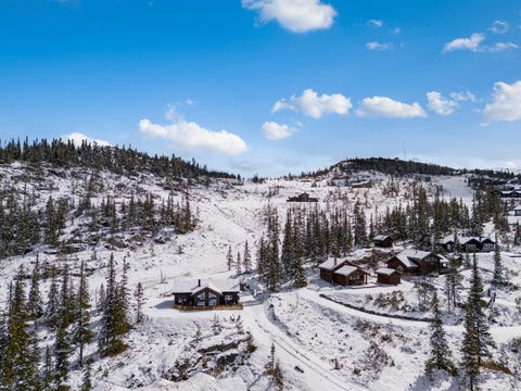 Bilde 2 av annonsen