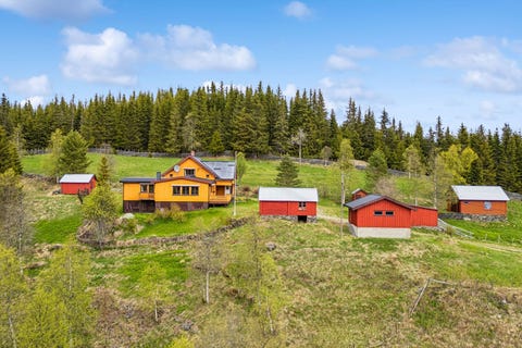 Bilde 1 av annonsen