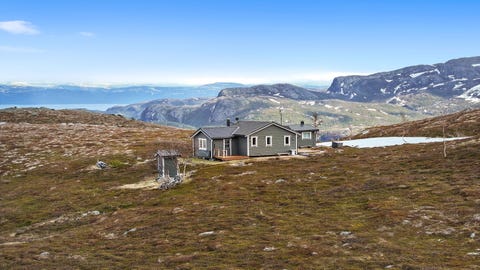 Bilde 1 av annonsen