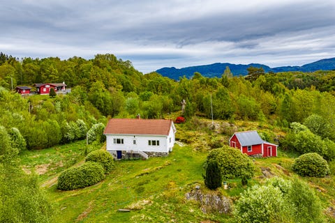 Bilde 2 av annonsen