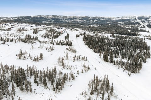 Bilde 2 av annonsen