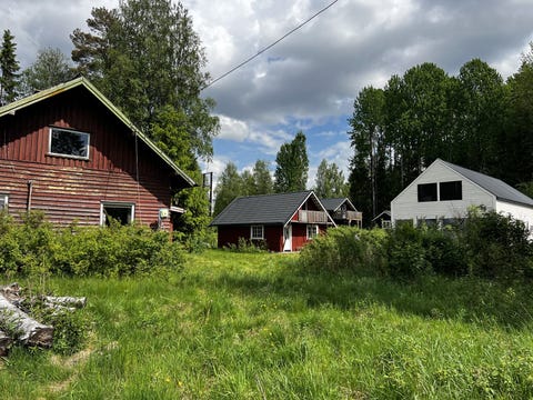 Bilde 1 av annonsen
