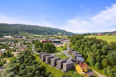 Bilde 1 av annonsen