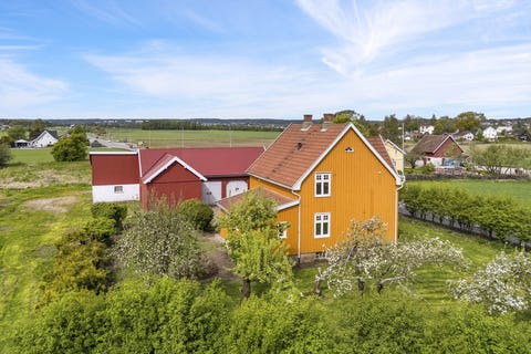 Bilde 1 av annonsen