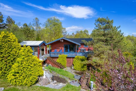 Bilde 1 av annonsen