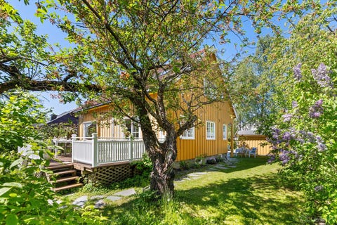Bilde 1 av annonsen