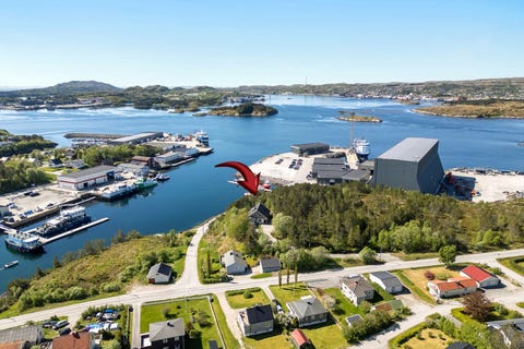 Bilde 1 av annonsen
