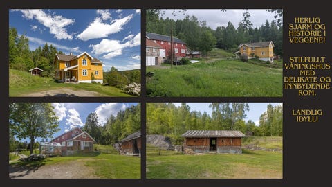 Bilde 1 av annonsen