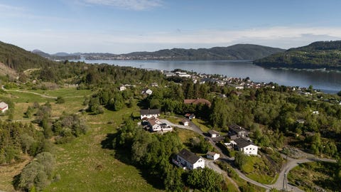 Bilde 1 av annonsen