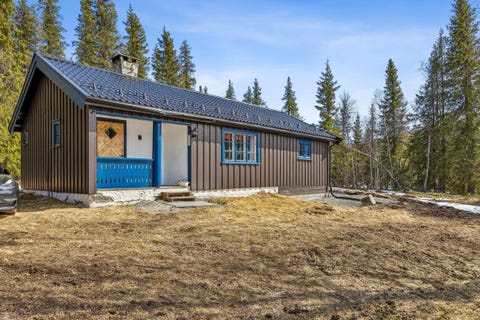 Bilde 1 av annonsen