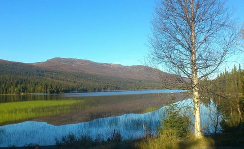 Bilde 2 av annonsen