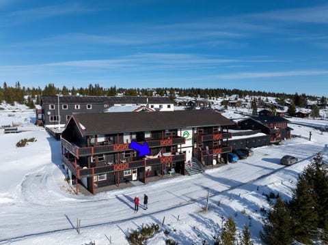 Bilde 2 av annonsen