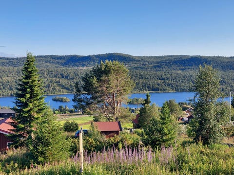 Bilde 2 av annonsen