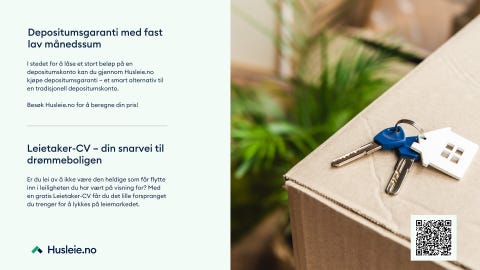 Bilde 2 av annonsen