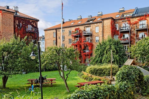 Bilde 2 av annonsen