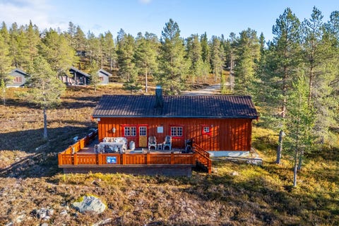 Bilde 1 av annonsen