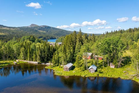 Bilde 1 av annonsen