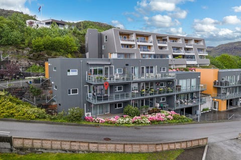 Bilde 1 av annonsen