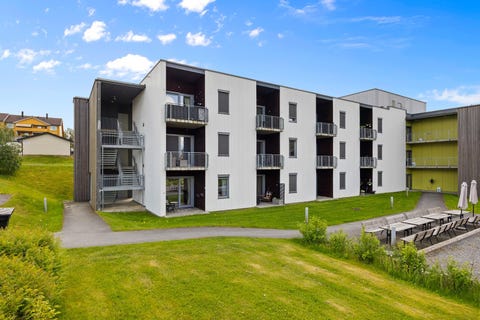 Bilde 1 av annonsen