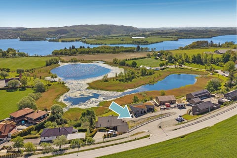 Bilde 1 av annonsen