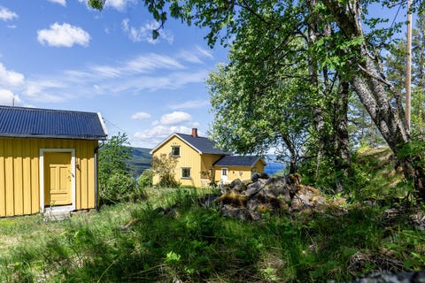 Bilde 1 av annonsen