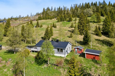 Bilde 1 av annonsen
