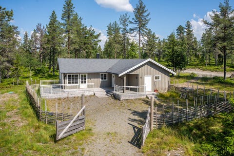 Bilde 1 av annonsen