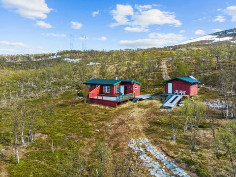 Bilde 1 av annonsen