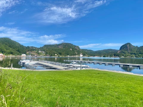 Bilde 1 av annonsen