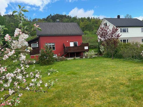 Bilde 2 av annonsen
