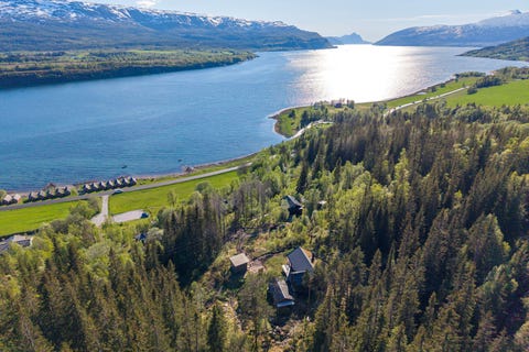Bilde 1 av annonsen