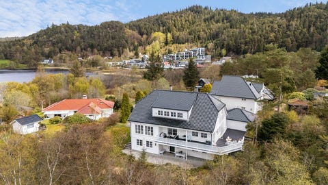 Bilde 1 av annonsen