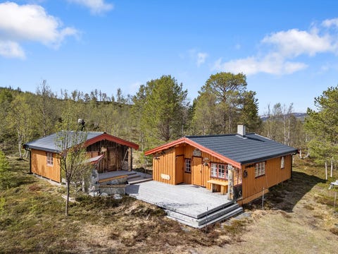 Bilde 1 av annonsen