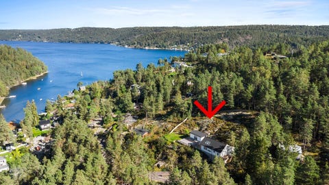 Bilde 1 av annonsen