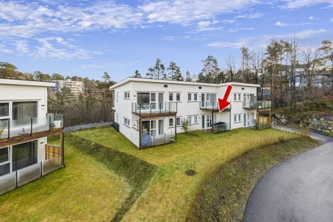 Bilde 1 av annonsen