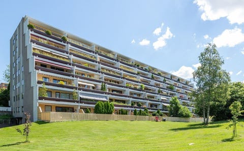 Bilde 1 av annonsen