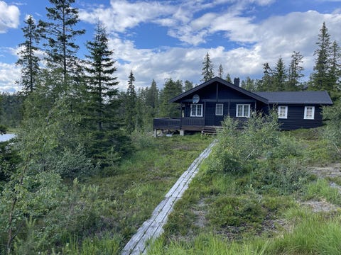 Bilde 1 av annonsen