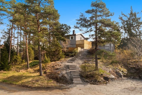 Bilde 1 av annonsen