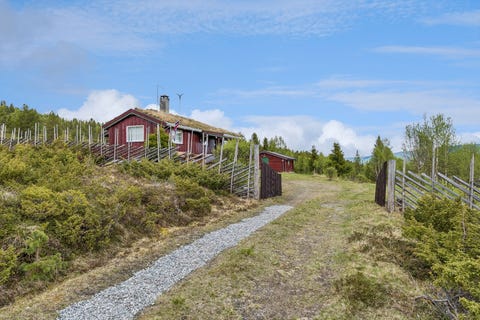 Bilde 1 av annonsen