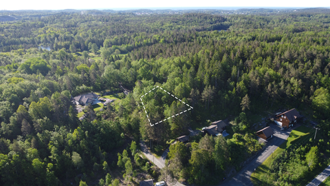 Bilde 2 av annonsen