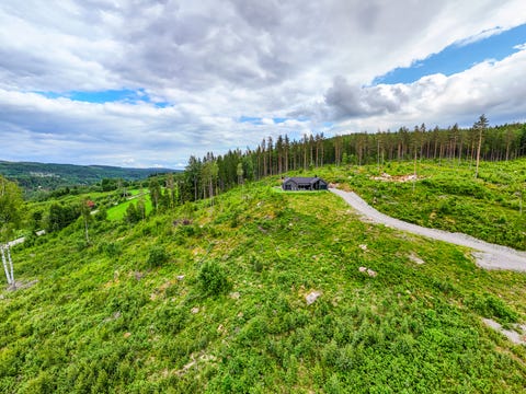 Bilde 2 av annonsen