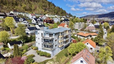Bilde 1 av annonsen