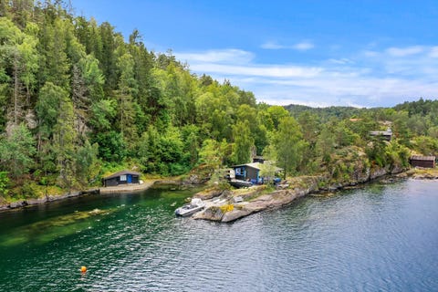 Bilde 1 av annonsen